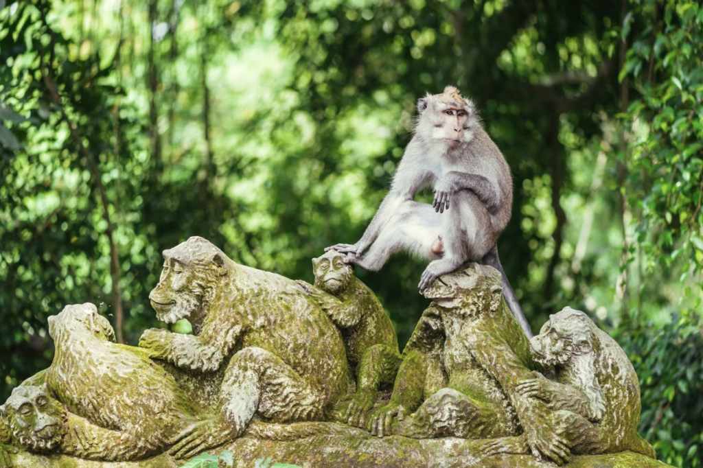 Monkey Forest in Ubud bali